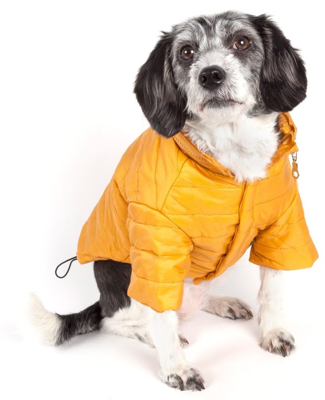Lightweight Adjustable 'Sporty Avalanche' Pet Coat - Image 42