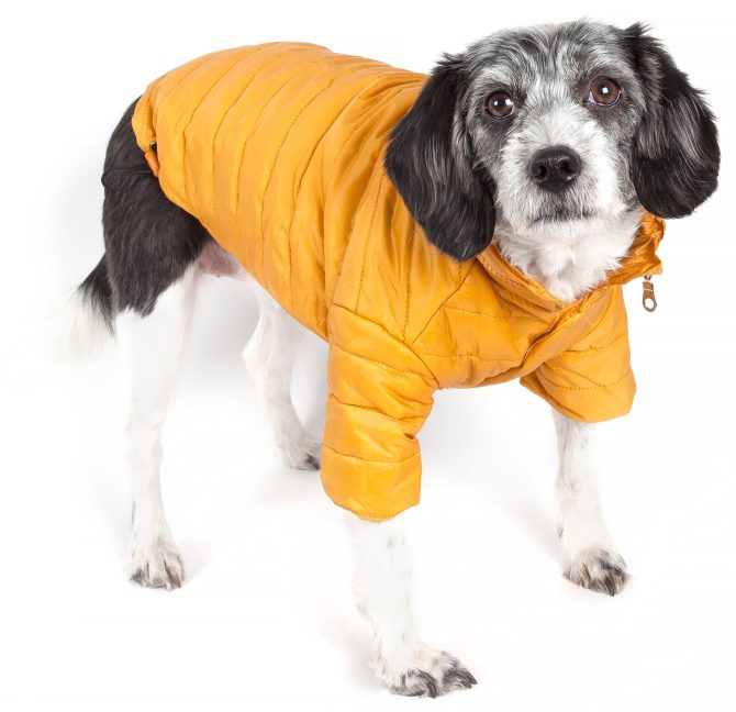 Lightweight Adjustable 'Sporty Avalanche' Pet Coat - Image 41