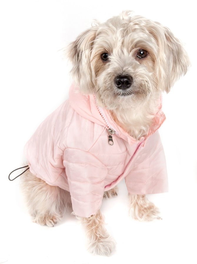 Lightweight Adjustable 'Sporty Avalanche' Pet Coat - Image 46