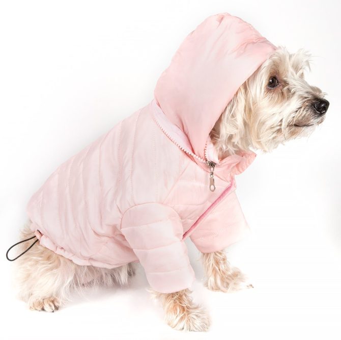 Lightweight Adjustable 'Sporty Avalanche' Pet Coat - Image 47