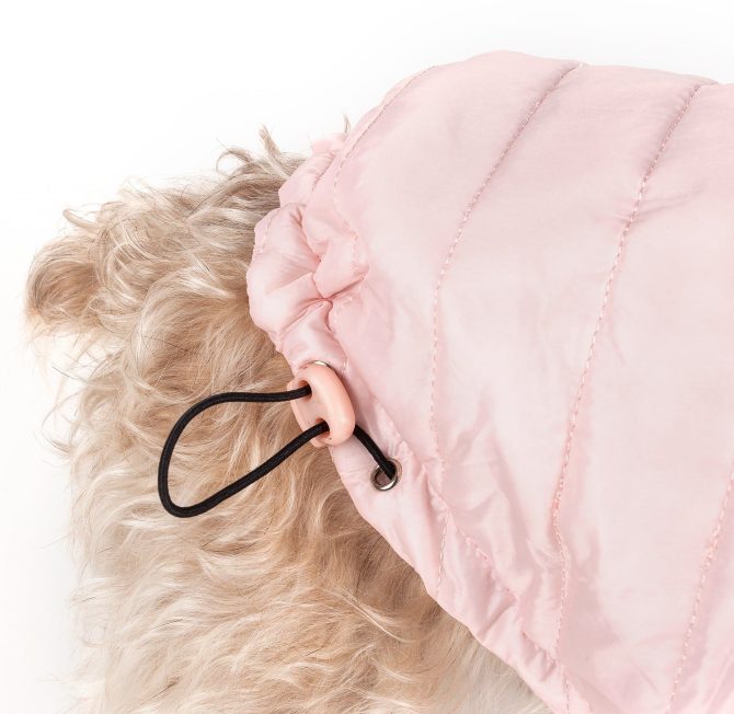 Lightweight Adjustable 'Sporty Avalanche' Pet Coat - Image 50