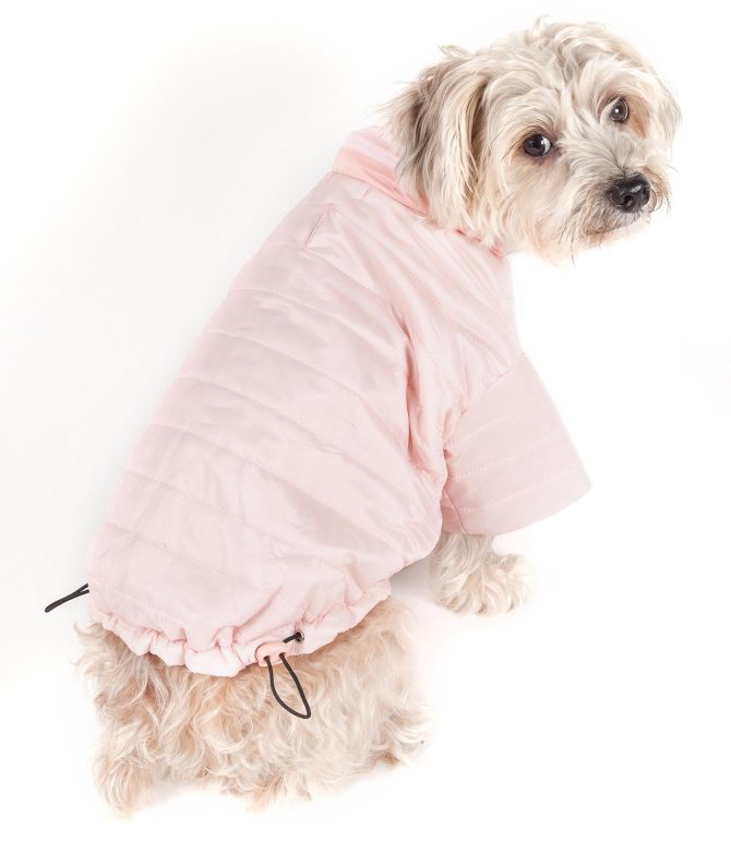 Lightweight Adjustable 'Sporty Avalanche' Pet Coat - Image 45