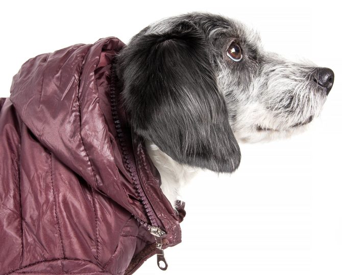 Lightweight Adjustable 'Sporty Avalanche' Pet Coat - Image 51