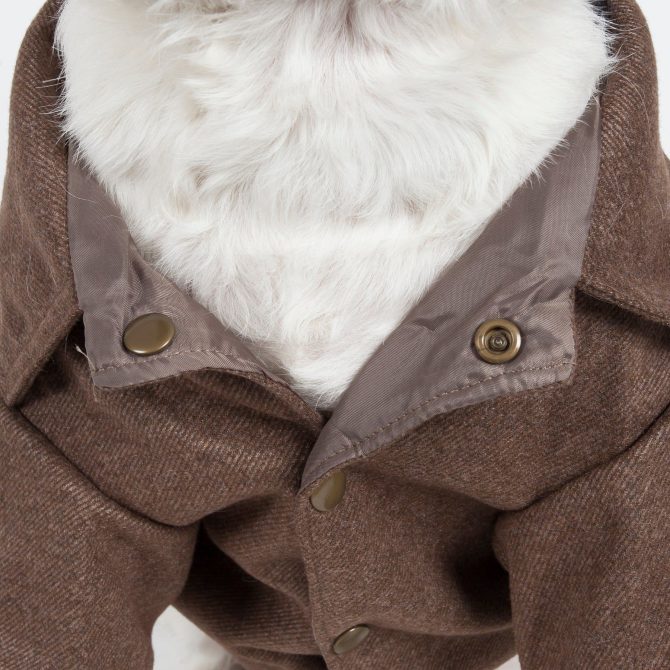 Galore Back-Buckled Fashion Wool Pet Coat - Image 3