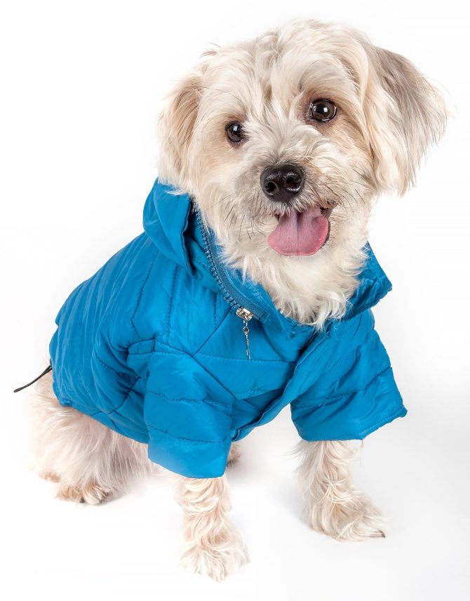 Lightweight Adjustable 'Sporty Avalanche' Pet Coat - Image 20