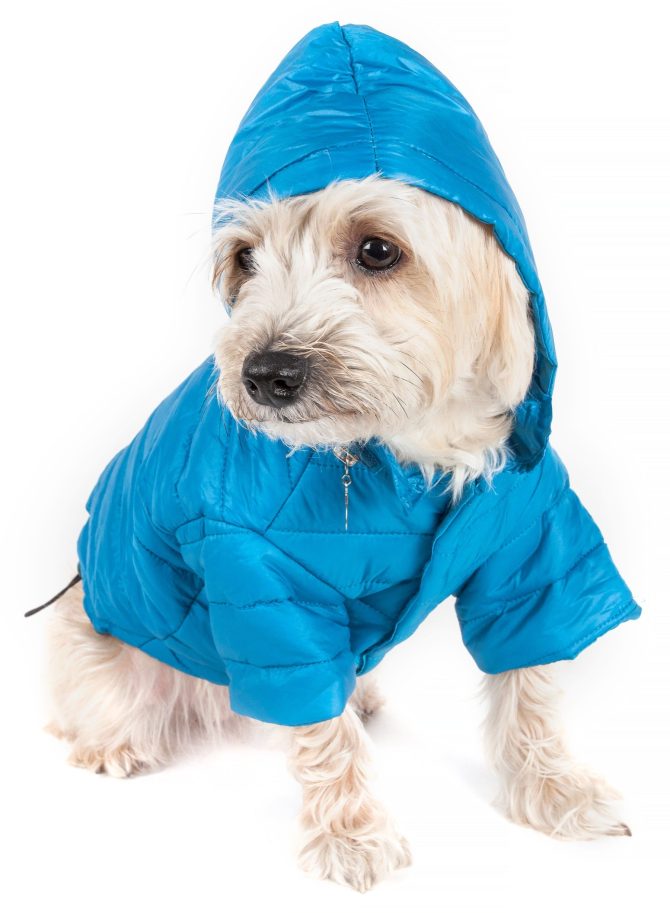 Lightweight Adjustable 'Sporty Avalanche' Pet Coat - Image 21