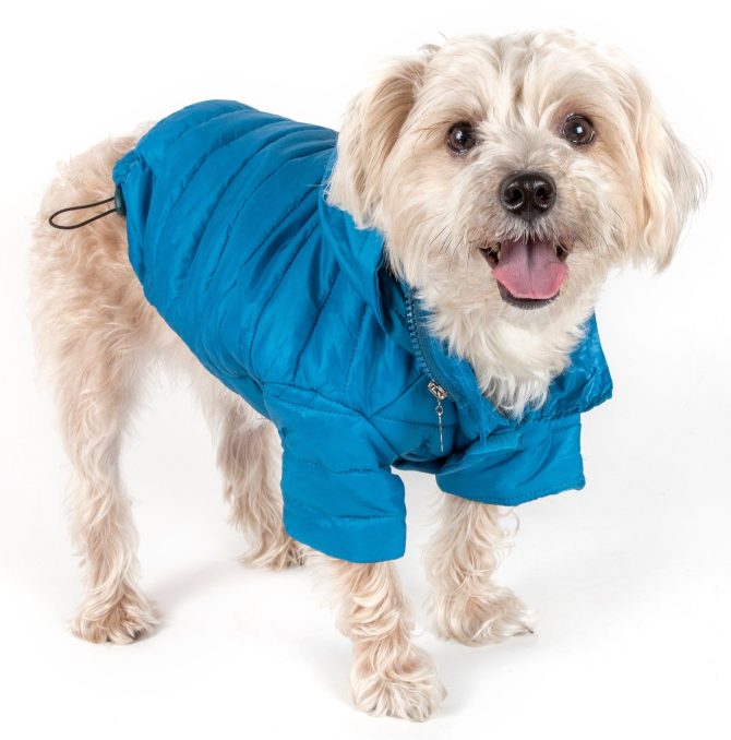 Lightweight Adjustable 'Sporty Avalanche' Pet Coat - Image 19