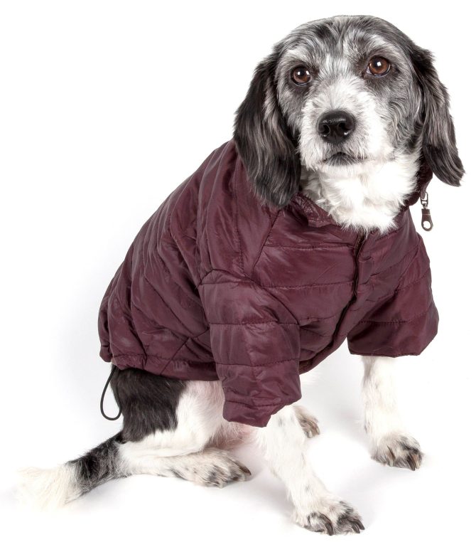 Lightweight Adjustable 'Sporty Avalanche' Pet Coat - Image 24