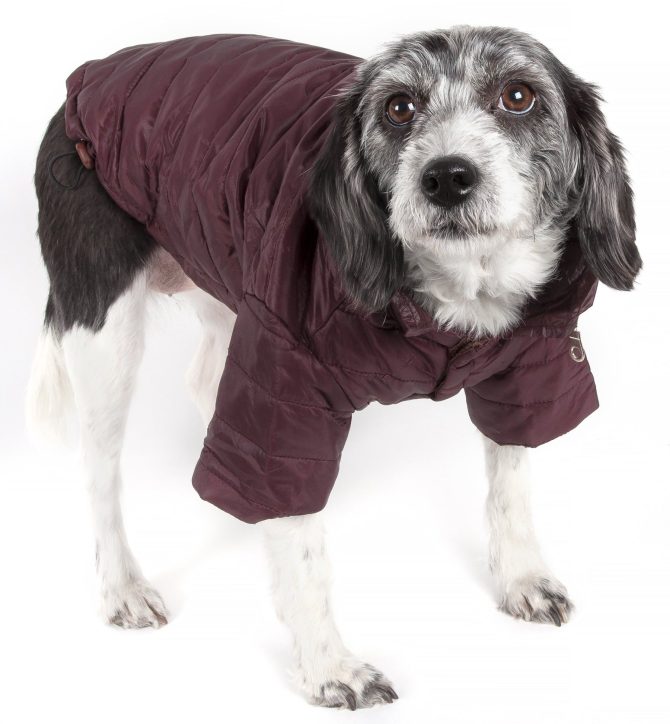 Lightweight Adjustable 'Sporty Avalanche' Pet Coat - Image 25