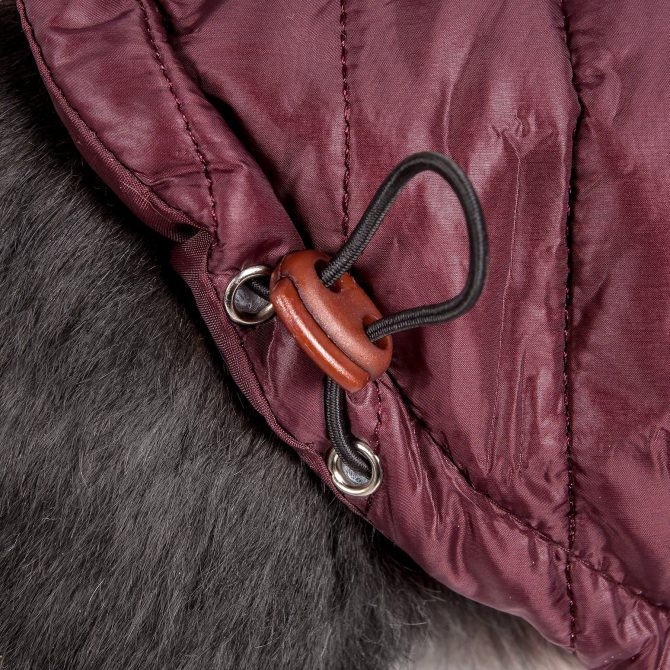 Lightweight Adjustable 'Sporty Avalanche' Pet Coat - Image 28