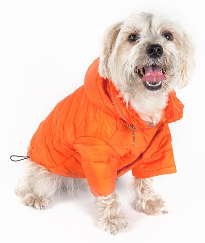 Lightweight Adjustable 'Sporty Avalanche' Pet Coat - Image 34