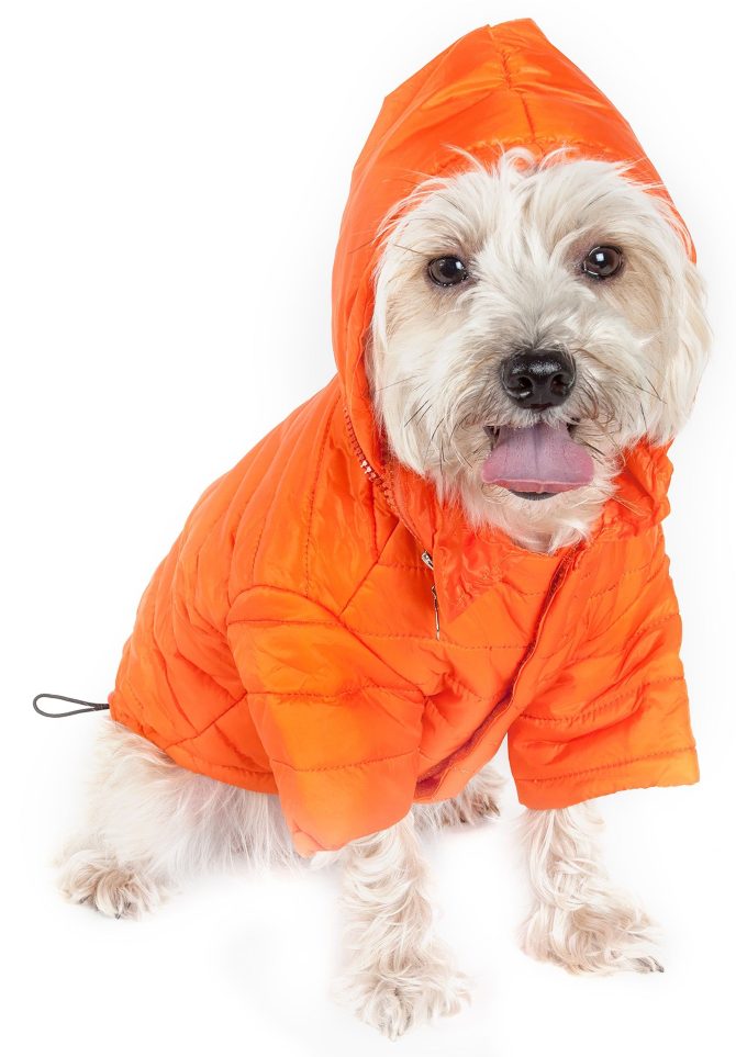 Lightweight Adjustable 'Sporty Avalanche' Pet Coat - Image 35