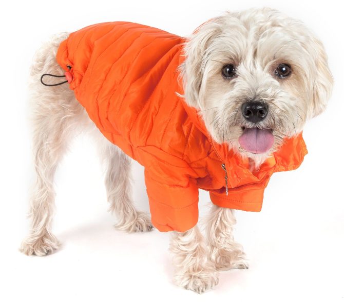 Lightweight Adjustable 'Sporty Avalanche' Pet Coat - Image 36