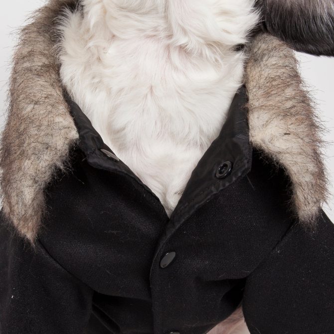 Buttoned 'Coast-Guard' Fashion Faux-Fur Collared Wool Pet Coat - Image 3