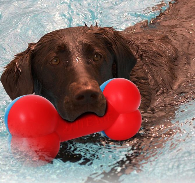 Pet Life Bone Shaped Durable Chew And Fetch Teether Dog Toy - Image 2