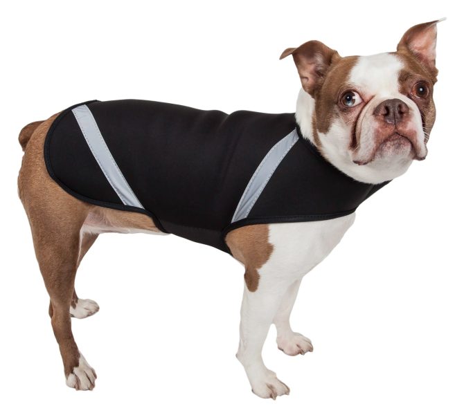 Extreme Neoprene Multi-Purpose Protective Shell Dog Coat - Image 16