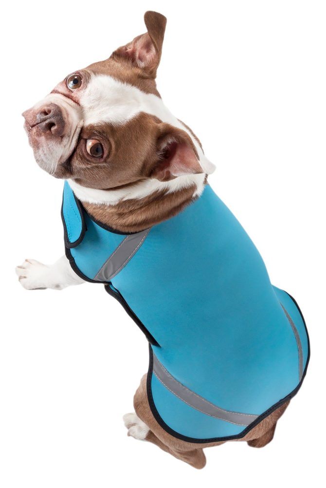 Extreme Neoprene Multi-Purpose Protective Shell Dog Coat - Image 7