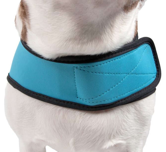 Extreme Neoprene Multi-Purpose Protective Shell Dog Coat - Image 8