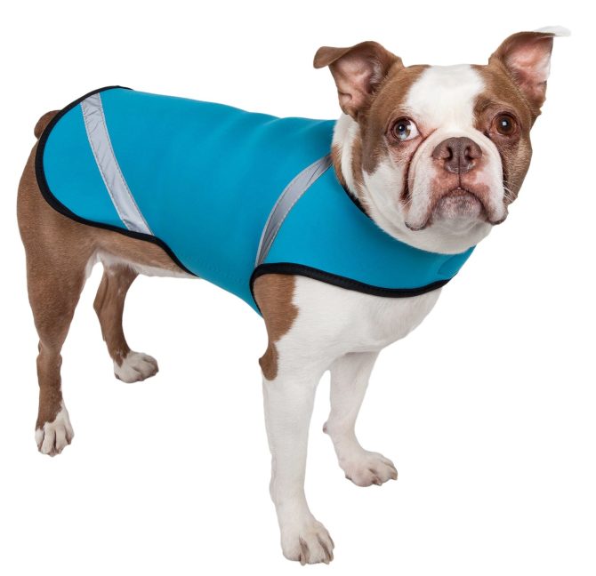 Extreme Neoprene Multi-Purpose Protective Shell Dog Coat - Image 5