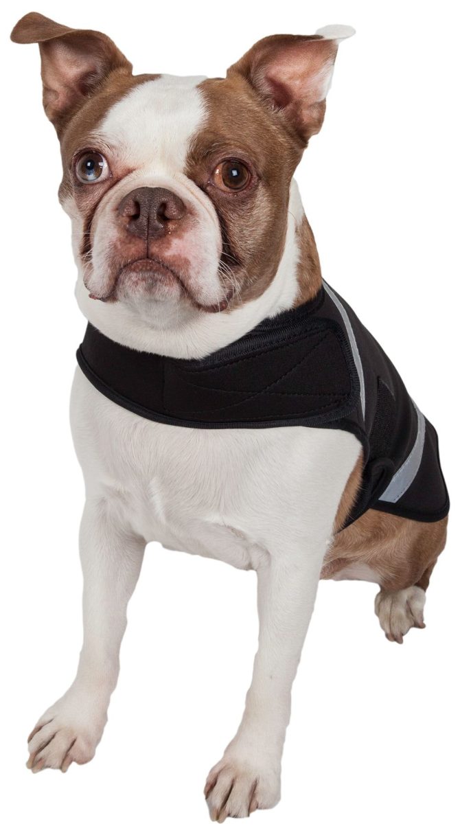 Extreme Neoprene Multi-Purpose Protective Shell Dog Coat - Image 2