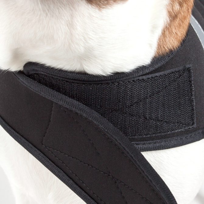 Extreme Neoprene Multi-Purpose Protective Shell Dog Coat - Image 4