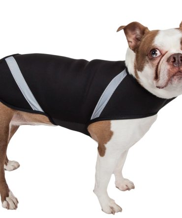 Extreme Neoprene Multi-Purpose Protective Shell Dog Coat