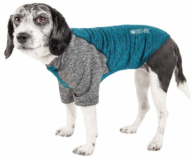Pet Life Active 'Hybreed' 4-Way Stretch Two-Toned Performance Dog T-Shirt - Image 161