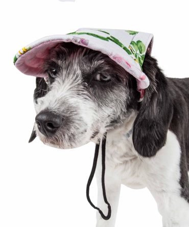 Pet Life 'Botanic Bark' Floral Uv Protectant Adjustable Fashion Dog Hat Cap