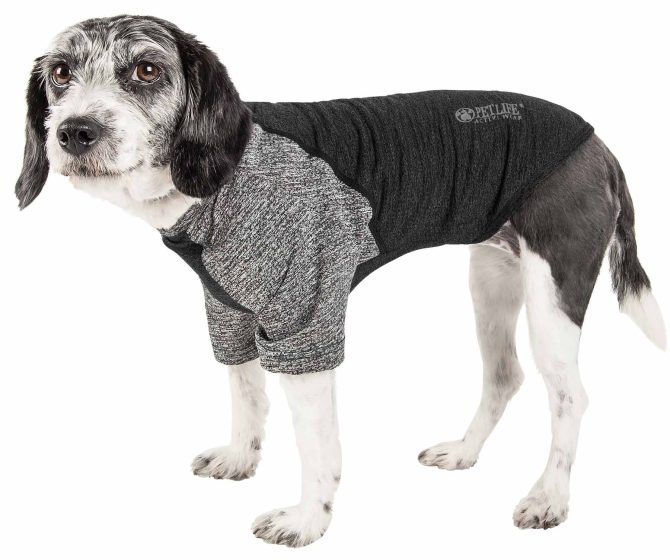 Pet Life Active 'Hybreed' 4-Way Stretch Two-Toned Performance Dog T-Shirt - Image 250