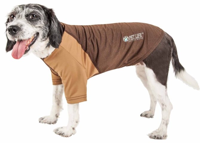 Pet Life Active 'Hybreed' 4-Way Stretch Two-Toned Performance Dog T-Shirt - Image 116