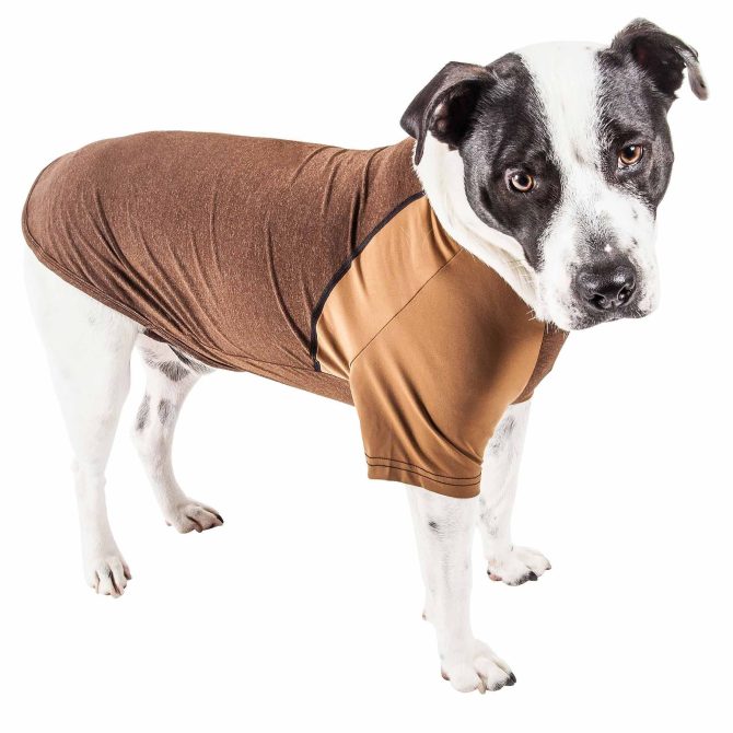 Pet Life Active 'Hybreed' 4-Way Stretch Two-Toned Performance Dog T-Shirt - Image 106