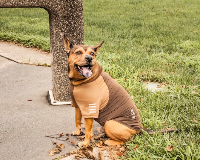 Pet Life Active 'Hybreed' 4-Way Stretch Two-Toned Performance Dog T-Shirt - Image 115