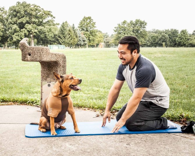 Pet Life Active 'Hybreed' 4-Way Stretch Two-Toned Performance Dog T-Shirt - Image 46