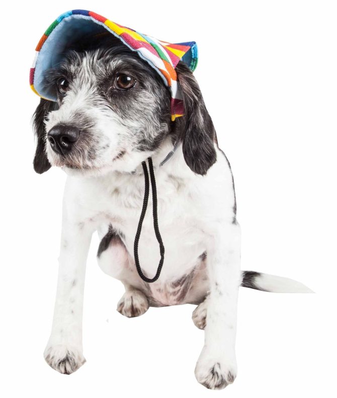 Pet Life 'Colorfur' Floral Uv Protectant Adjustable Fashion Dog Hat Cap - Image 8