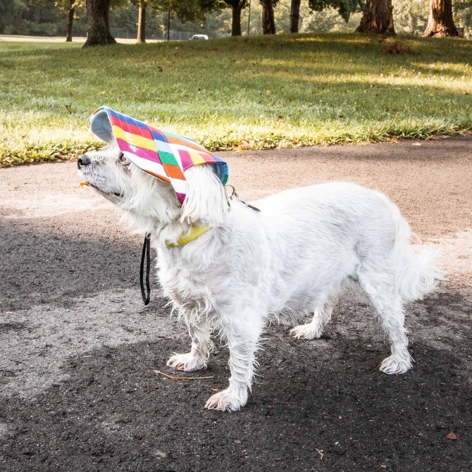 Pet Life 'Colorfur' Floral Uv Protectant Adjustable Fashion Dog Hat Cap - Image 5