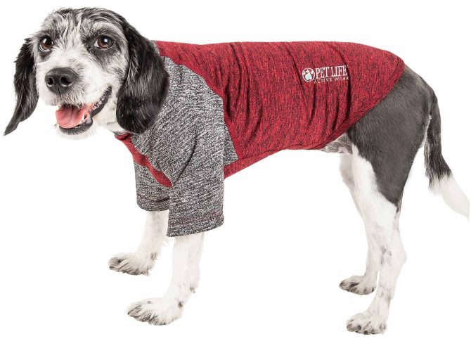 Pet Life Active 'Hybreed' 4-Way Stretch Two-Toned Performance Dog T-Shirt - Image 205