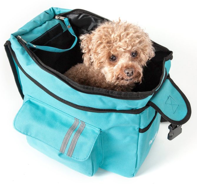 Fashion Back-Supportive Over-The-Shoulder Fashion Pet Carrier - Image 2