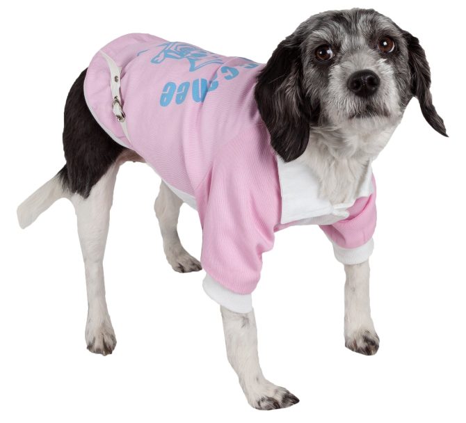 Varsity-Buckled Collared Pet Coat - Image 12