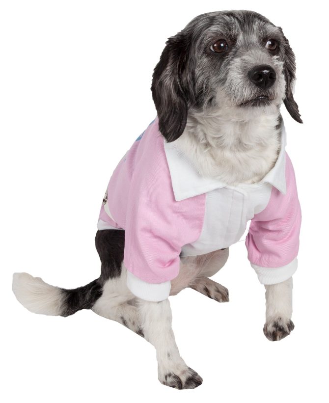 Varsity-Buckled Collared Pet Coat - Image 13