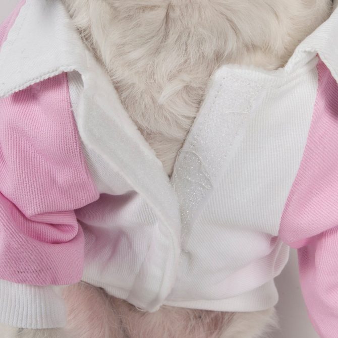 Varsity-Buckled Collared Pet Coat - Image 14