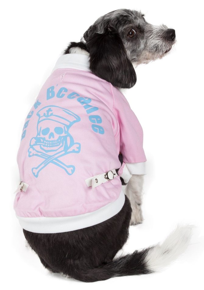 Varsity-Buckled Collared Pet Coat - Image 11