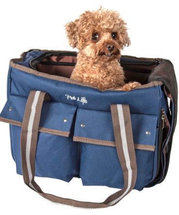 Fashion Canvas Pet Carrier