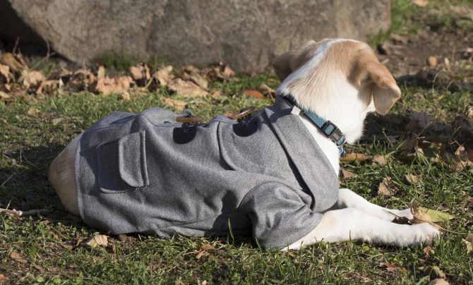 Military Static Rivited Fashion Collared Wool Pet Coat - Image 8