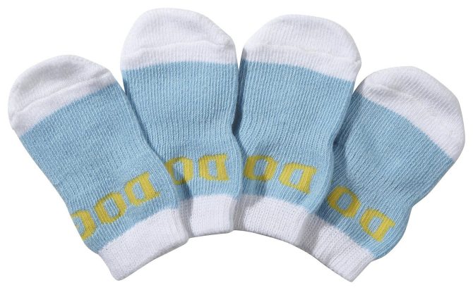 Pet Socks W/ Rubberized Soles - Image 11