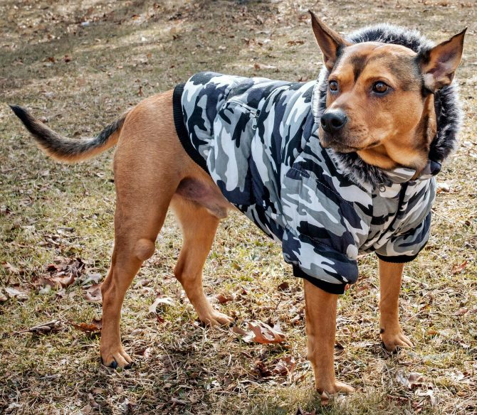 Fashion Pet Parka Coat - Image 24
