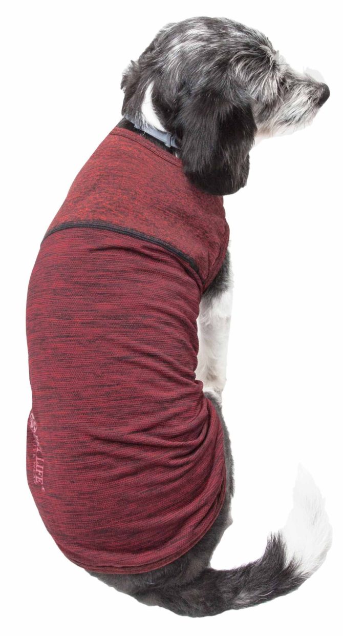 Pet Life Active 'Aero-Pawlse' Heathered Quick-Dry And 4-Way Stretch-Performance Dog Tank Top T-Shirt - Image 91