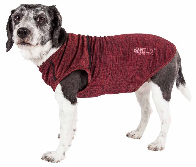 Pet Life Active 'Aero-Pawlse' Heathered Quick-Dry And 4-Way Stretch-Performance Dog Tank Top T-Shirt - Image 89