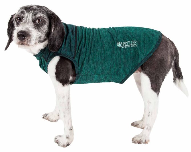 Pet Life Active 'Aero-Pawlse' Heathered Quick-Dry And 4-Way Stretch-Performance Dog Tank Top T-Shirt - Image 242