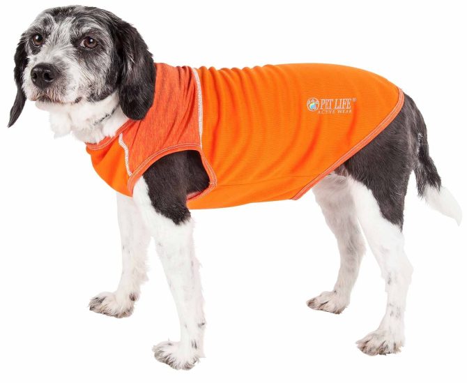 Pet Life Active 'Aero-Pawlse' Heathered Quick-Dry And 4-Way Stretch-Performance Dog Tank Top T-Shirt - Image 271