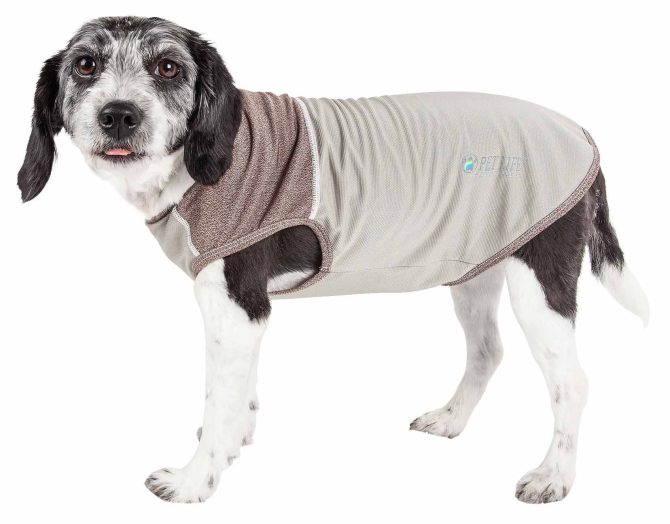 Pet Life Active 'Aero-Pawlse' Heathered Quick-Dry And 4-Way Stretch-Performance Dog Tank Top T-Shirt - Image 224